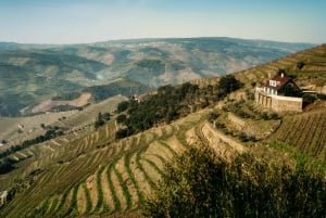 Porto: Douro Valley Tour mit 2 Weingütern, Mittagessen und Kreuzfahrt