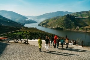 Porto: Douro Valley Tour mit 2 Weingütern, Mittagessen und Kreuzfahrt
