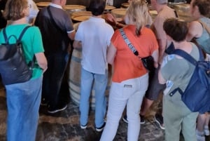 Porto: Douro Valley Tour mit 2 Weingütern, Mittagessen und Kreuzfahrt