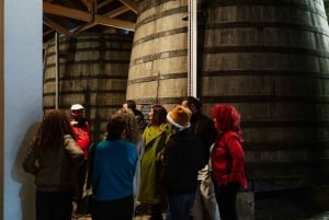 Porto: Douro Valley Tour mit 2 Weingütern, Mittagessen und Kreuzfahrt