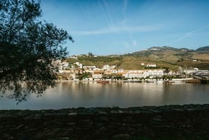 Porto: Douro Valley Tour mit 2 Weingütern, Mittagessen und Kreuzfahrt