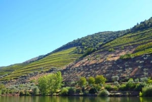 Porto: Douro Valley Tour mit 2 Weingütern, Mittagessen und Kreuzfahrt