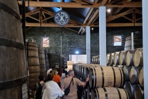 Porto: Douro Valley Tour mit 2 Weingütern, Mittagessen und Kreuzfahrt