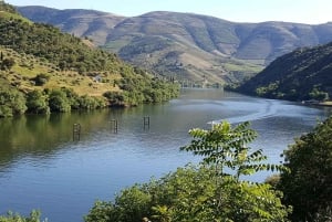 Porto - Dourodalen Douro Valley Tour med lunch, båttur och provsmakningar