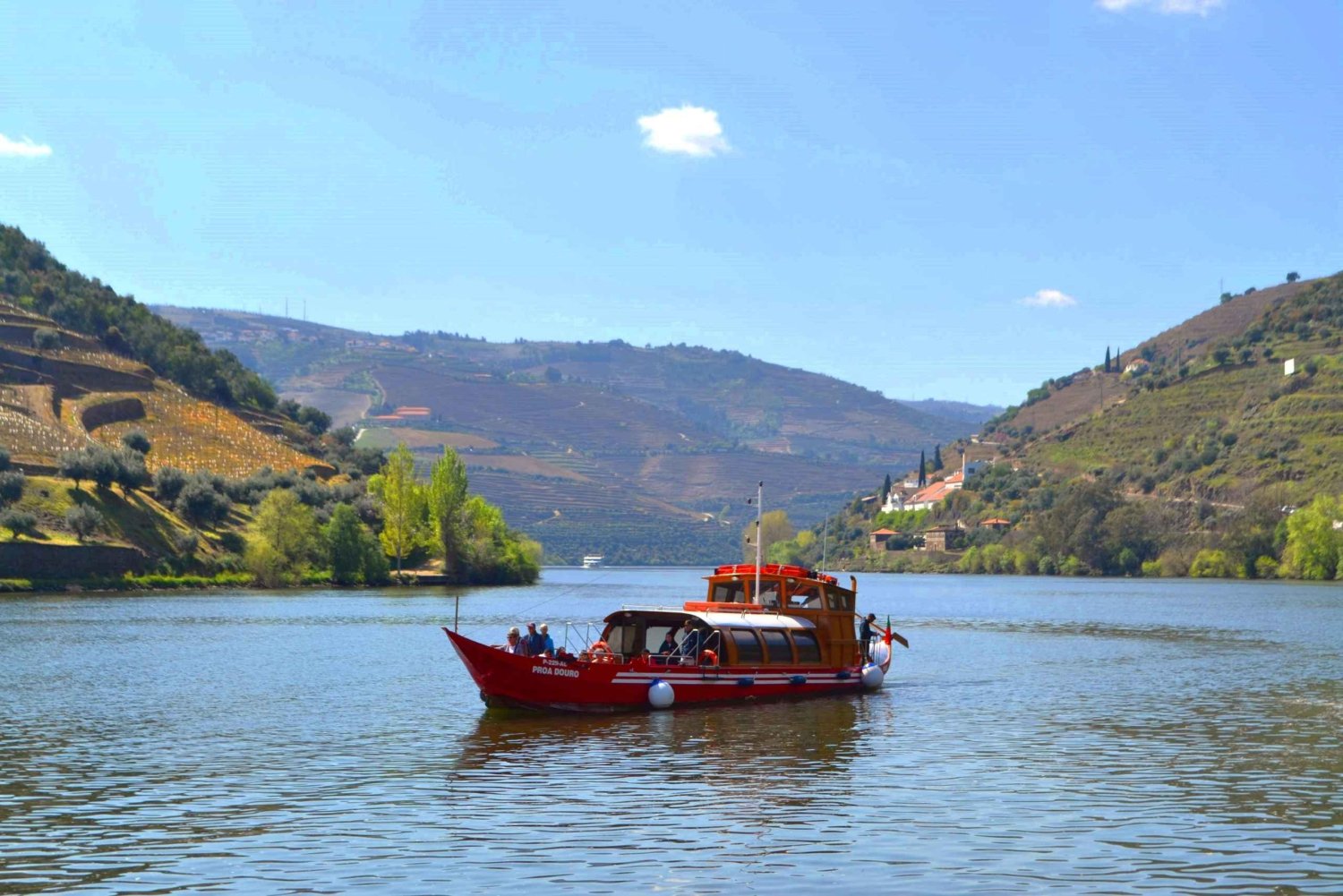 Porto : Visite des vignobles de la vallée du Douro avec déjeuner et croisière fluviale