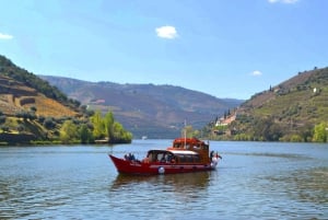 Porto: Douro Valley Vineyards Tour med frokost og guidet krydstogt på floden