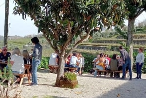 Porto: Douro Valley Vineyards Tour med frokost og guidet krydstogt på floden