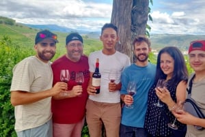 Porto: Douro Valley Vineyards Tour med frokost og guidet krydstogt på floden