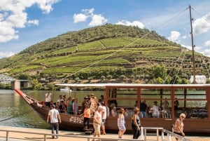Porto: Vin- og historietur i Douro-dalen med krydstogt og frokost