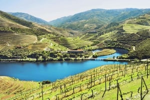 Porto: Vin- og historietur i Douro-dalen med krydstogt og frokost