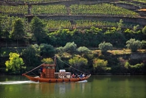 Porto: Vin- og historietur i Douro-dalen med krydstogt og frokost