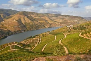 Porto: Vin- og historietur i Douro-dalen med krydstogt og frokost