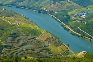 Porto: Vin- og historietur i Douro-dalen med krydstogt og frokost