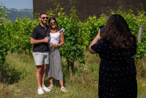 Porto: Vin- og historietur i Douro-dalen med krydstogt og frokost