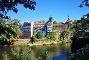 Porto: Vin- og historietur i Douro-dalen med krydstogt og frokost