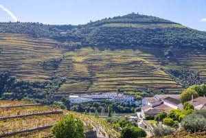 Porto: Vin- og historietur i Douro-dalen med krydstogt og frokost