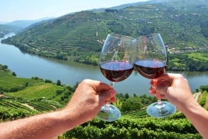 Porto: Vin- og historietur i Douro-dalen med krydstogt og frokost