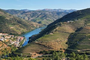 Porto : Visite de la vallée du Douro avec un sommelier et excursion en bateau