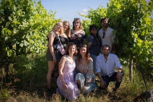 Porto : Visite de la vallée du Douro avec un sommelier et excursion en bateau