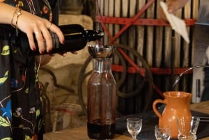 Porto : Visite de la vallée du Douro avec un sommelier et excursion en bateau