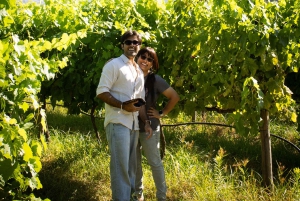 Porto : Visite de la vallée du Douro avec un sommelier et excursion en bateau