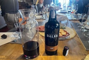 Porto : Visite de la vallée du Douro avec un sommelier et excursion en bateau