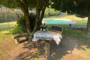 Porto : Visite de la vallée du Douro avec un sommelier et excursion en bateau