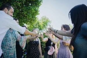 Porto : Visite de la vallée du Douro avec un sommelier et excursion en bateau