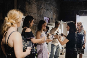 Porto : Visite de la vallée du Douro avec un sommelier et excursion en bateau