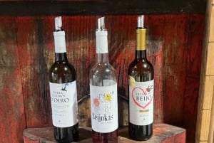 Porto : Visite de la vallée du Douro avec un sommelier et excursion en bateau