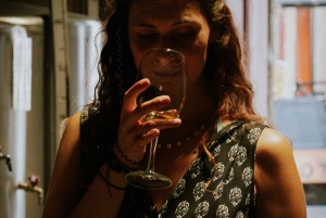 Porto : Visite de la vallée du Douro avec un sommelier et excursion en bateau