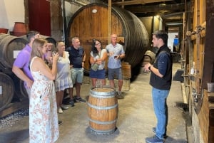 Porto : Visite de la vallée du Douro avec un sommelier et excursion en bateau