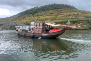 Porto : Visite de la vallée du Douro avec un sommelier et excursion en bateau