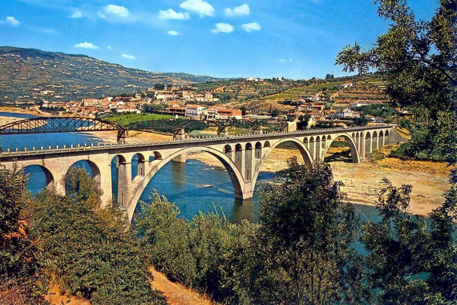 Porto: Visita ao Vale do Douro com almoço, provas e cruzeiro guiado
