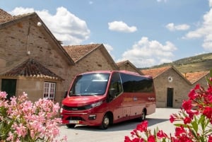 Porto: Vintur i Douro-dalen med frokost, smagsprøver og guidet krydstogt