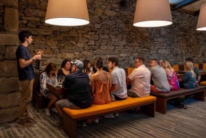 Porto: Vintur i Douro-dalen med frokost, smagsprøver og guidet krydstogt