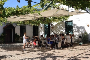 Porto: Douro Valley, 2 Wineries, Lunch, and 1-Hour Boat Tour