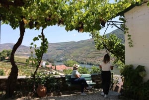 Porto: Douro Valley, 2 Wineries, Lunch, and 1-Hour Boat Tour