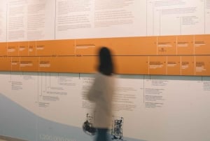 Oporto: Museo del Chocolate - Descubre los secretos del chocolate