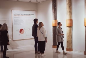 Porto: The Wine Experience, verdens bedste vinmuseum