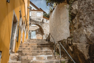 Oporto: tour privado y flexible a pie por el centro histórico