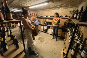 Porto: Food and Wine tasting tour in HIDDEN GEMS