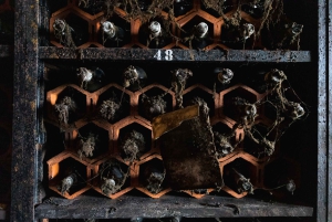 Oporto: Tour a pie de degustación de comida y vino con la Cueva del Vino de Oporto