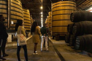 Oporto: Tour a pie de degustación de comida y vino con la Cueva del Vino de Oporto