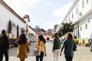 Oporto: Tour a pie de degustación de comida y vino con la Cueva del Vino de Oporto