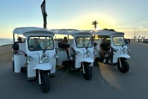 Porto: Privat Tuk Tuk-tur med hel dag