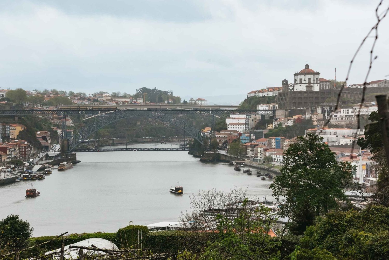 Porto: Visita à Graham's Port Lodge e degustação de vinhos no Vintage Room