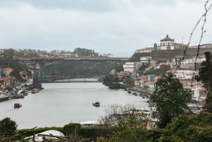 Porto: Visita à Graham's Port Lodge e degustação de vinhos no Vintage Room