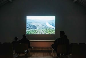 Porto: Visita à Graham's Port Lodge e degustação de vinhos no Vintage Room