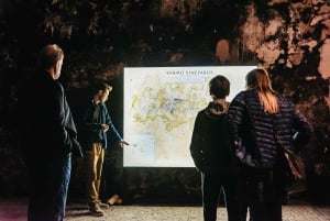 Porto: Visita à Graham's Port Lodge e degustação de vinhos no Vintage Room